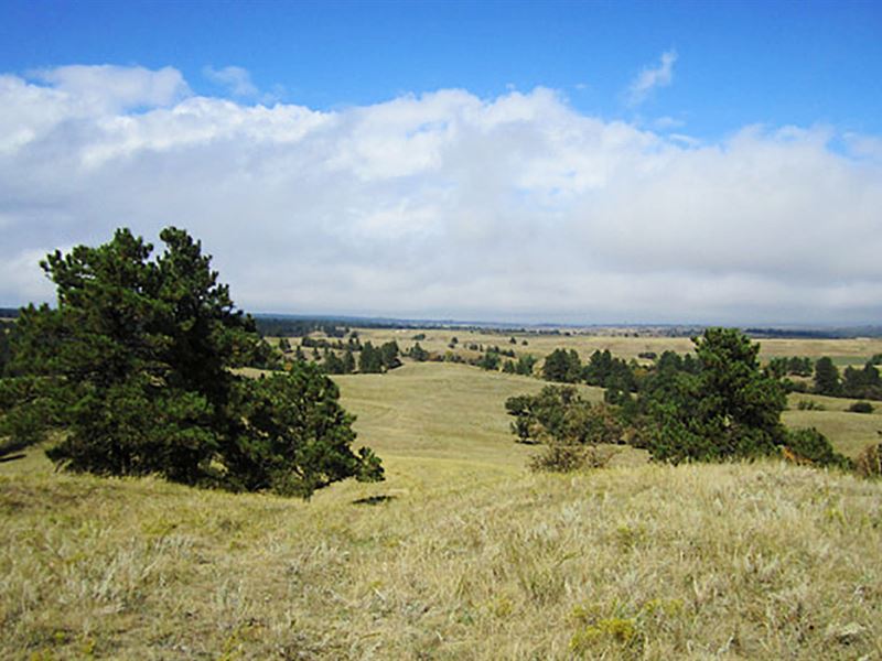 Oak Creek Road Acreage : Aladdin : Crook County : Wyoming