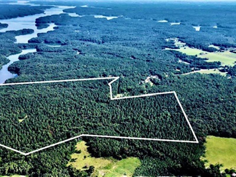 Pickens Creek 103.28 Acre Tract : Elberton : Elbert County : Georgia