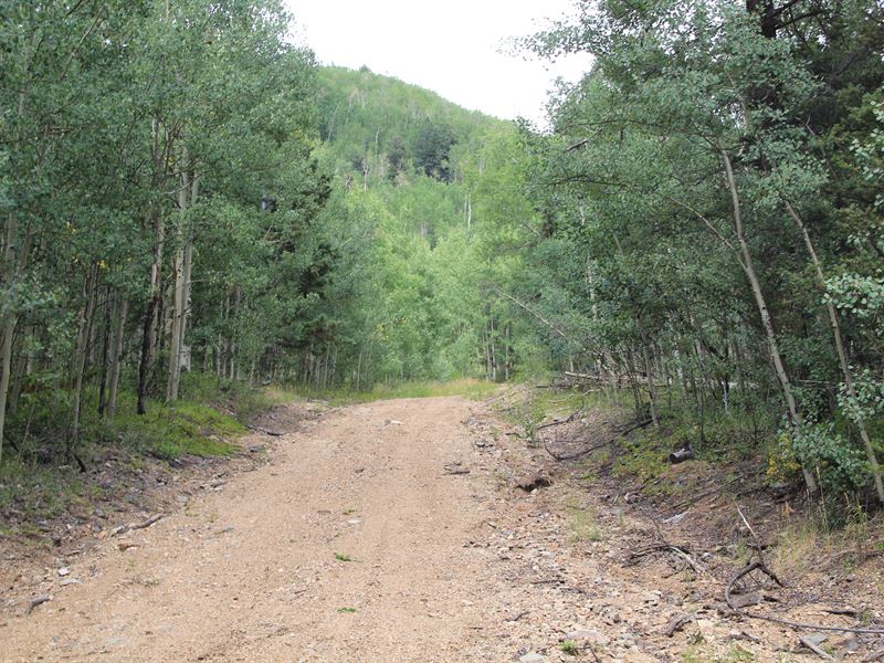 Off Grid Utopia with Trees : Fort Garland : Costilla County : Colorado
