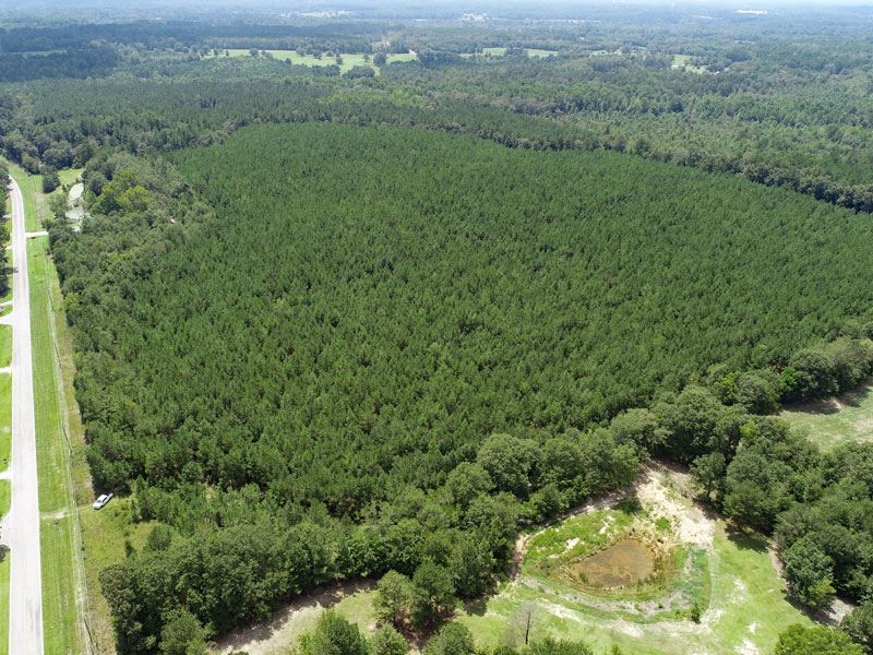 100 Acre Investment Tract : Thomson : McDuffie County : Georgia