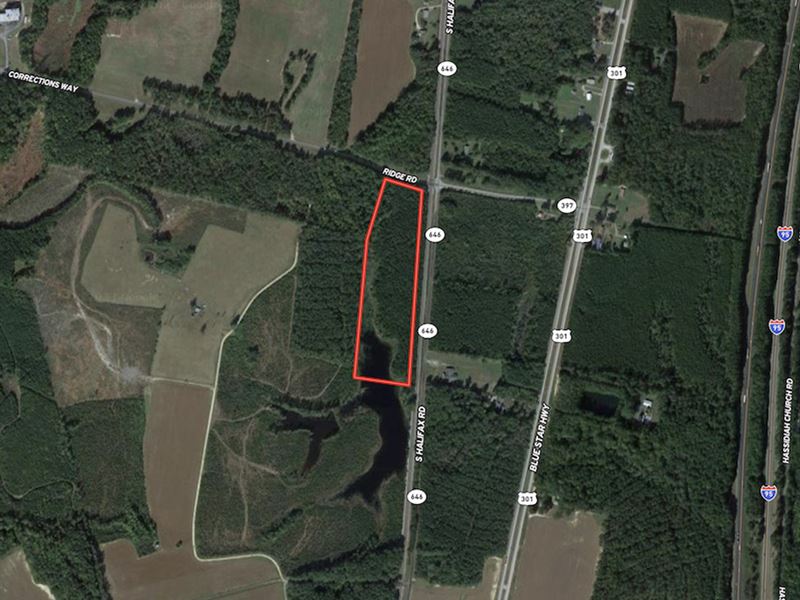 13 Acres of Hunti : Jarratt : Sussex County : Virginia