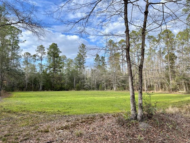 Escatawpa River Lott Road North : Citronelle : Mobile County : Alabama