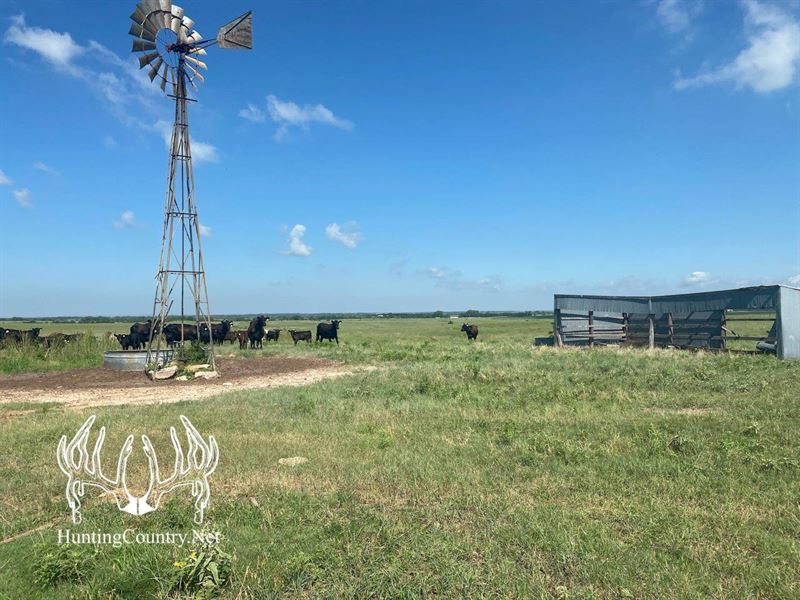 242 Acres M/L, Comanche County, KS : Coldwater : Comanche County : Kansas