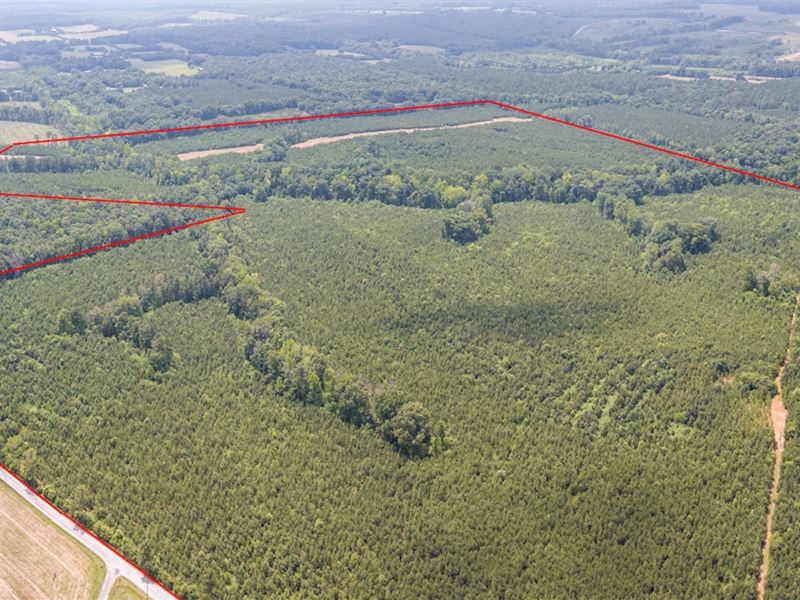 Birdsong-Atkins Timberland Tract : Farmville : Cumberland County : Virginia