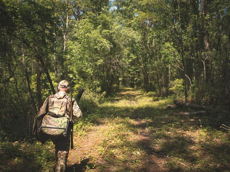 Flatwoods Tract : Greenville : Madison County : Florida