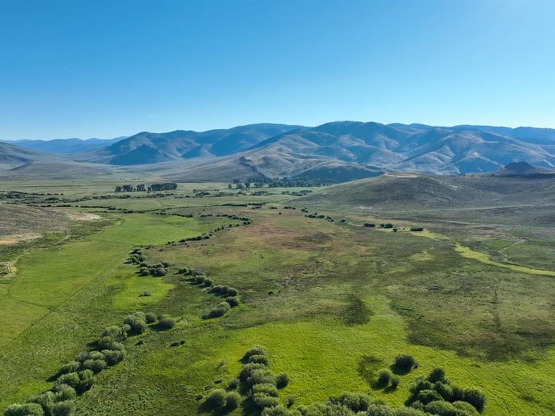 Needle Creek Ranch : Gunnison : Gunnison County : Colorado
