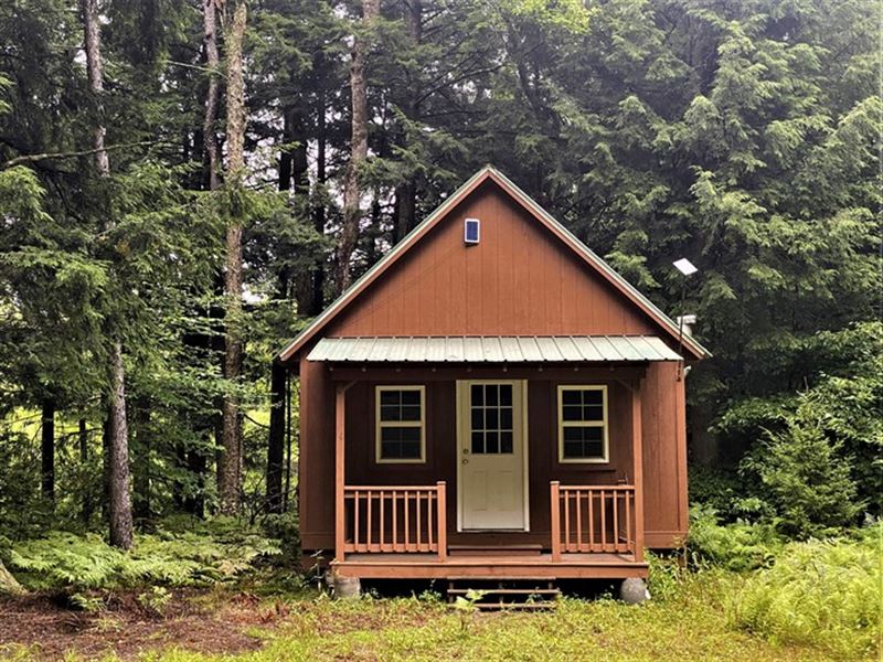 Camp on Cummings Creek : Forestport : Oneida County : New York
