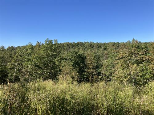 Missouri's Appalachia : Thomasville : Oregon County : Missouri