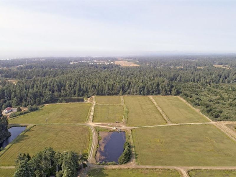 Beach Loop Cranberry Farm, Farm for Sale in Oregon, 357446 FARMFLIP