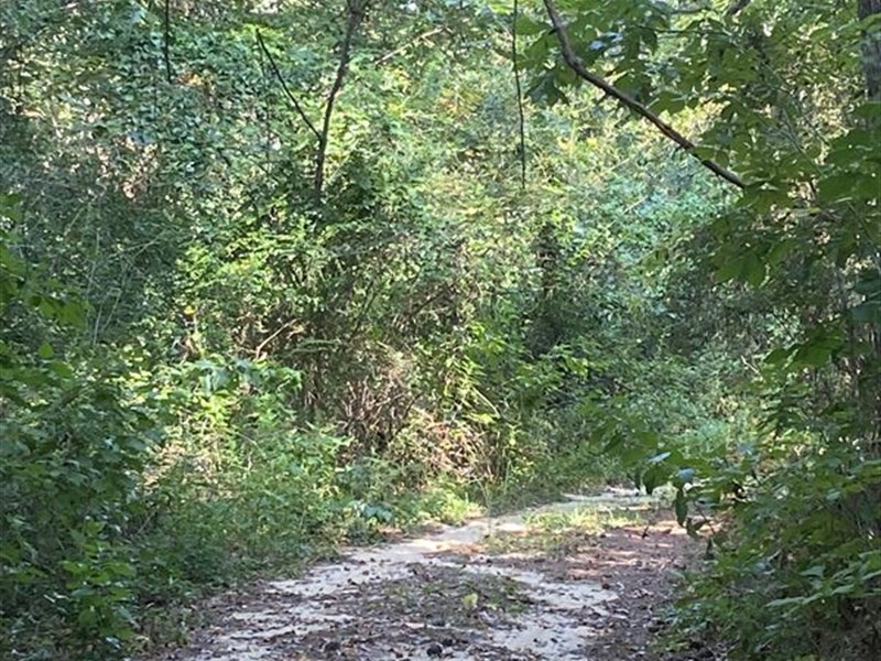 Large Tract in Autauga County : Prattville : Autauga County : Alabama