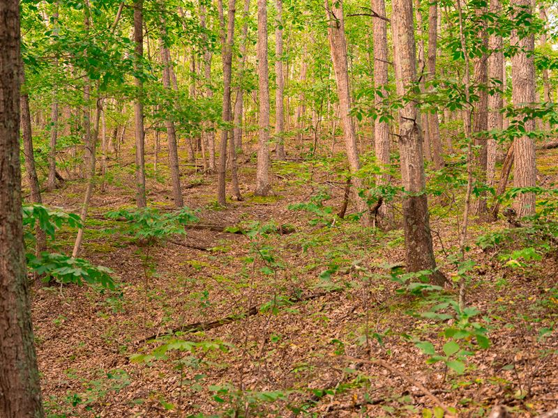 Ross County Land for Sale, Farm for Sale in Ohio, 357650 FARMFLIP