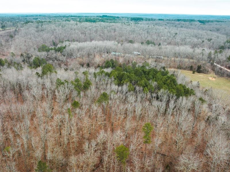 44.79 Acres in Salem, Missouri : Salem : Dent County : Missouri