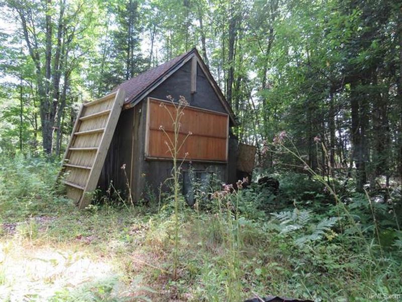 Michigan 114 Acre Recreational 5 : Watton : Baraga County : Michigan