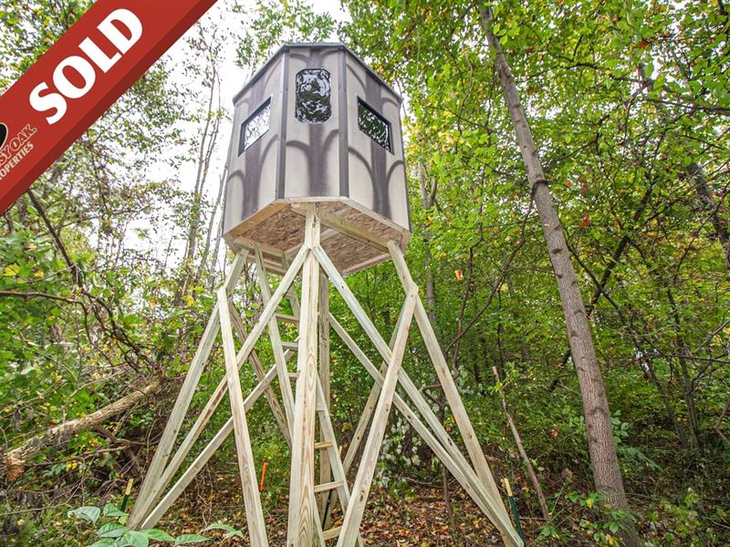 Union Hill Rd, 41 Acres, Guernsey : Kimbolton : Guernsey County : Ohio