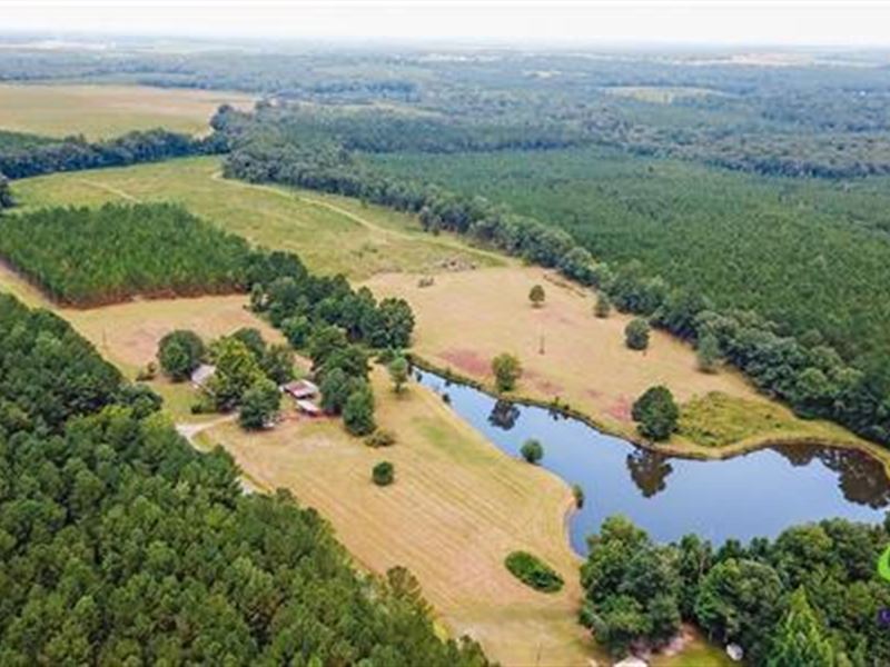 15 Acres with House & Pond : Eastman : Dodge County : Georgia