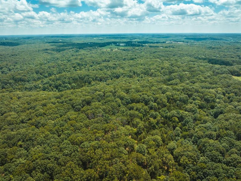 Camp Creek Tract 1 : Rolla : Phelps County : Missouri
