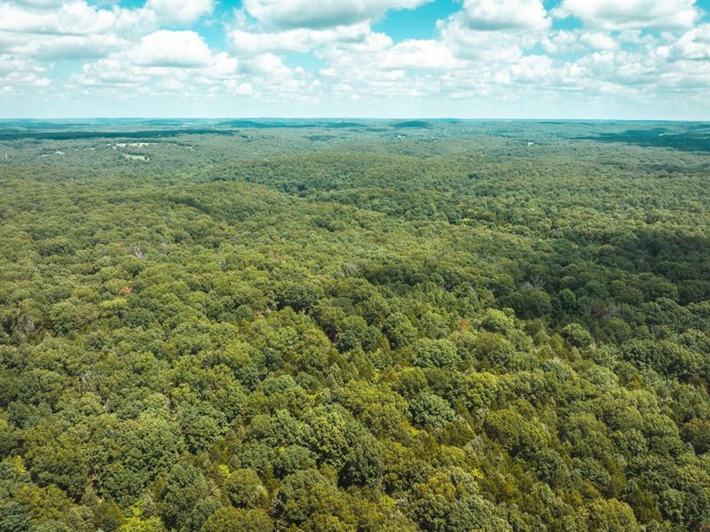 Camp Creek Tract 3 : Rolla : Phelps County : Missouri