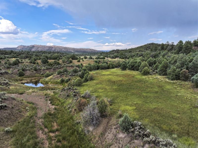 Brazos Valley Ranch : Tierra Amarilla : Rio Arriba County : New Mexico