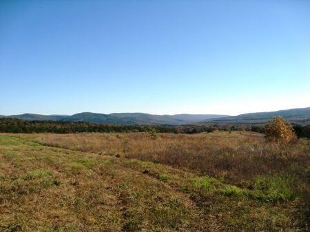 Land Adjacent To National Forrest : Altus : Franklin County : Arkansas