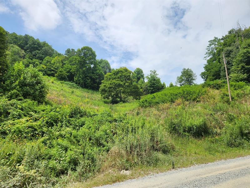 59.15 Acres Staples Johnson Rd : Newland : Avery County : North Carolina