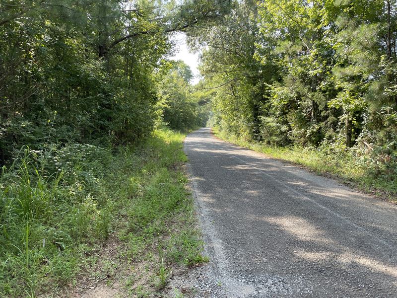 51.66 Acres on Buttston Road : Dadeville : Tallapoosa County : Alabama