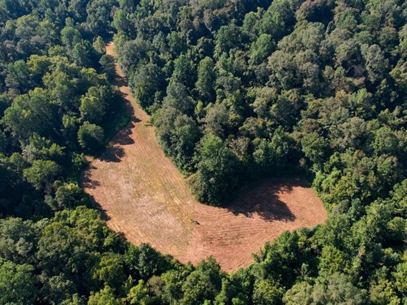 227 Acres Hunting Land for Sale : Vicksburg : Warren County : Mississippi