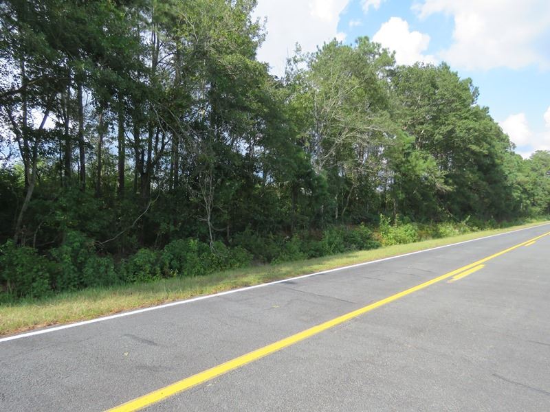30+/- Acre Wooded Country Property : Saint Pauls : Robeson County : North Carolina