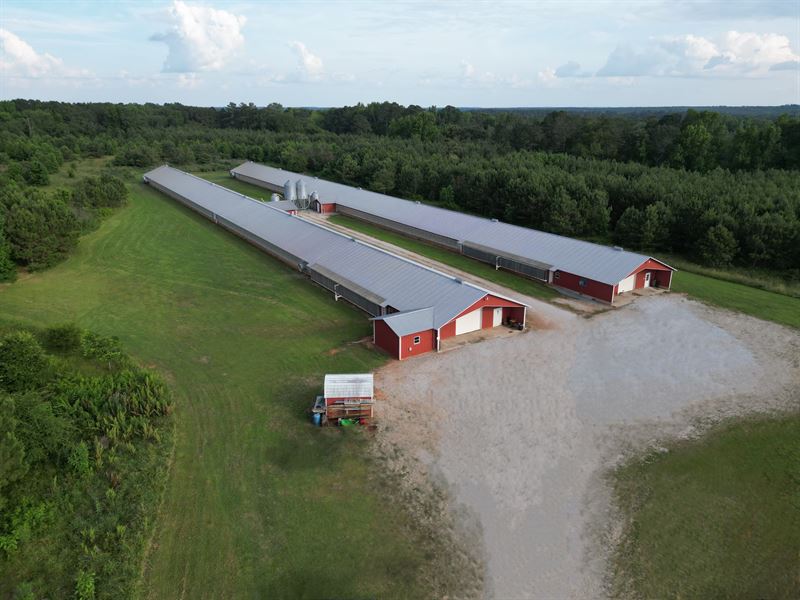 Two House Breeder Farm : Union Point : Taliaferro County : Georgia