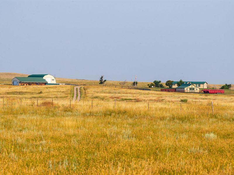 Canyon Spring West : Chugwater : Platte County : Wyoming