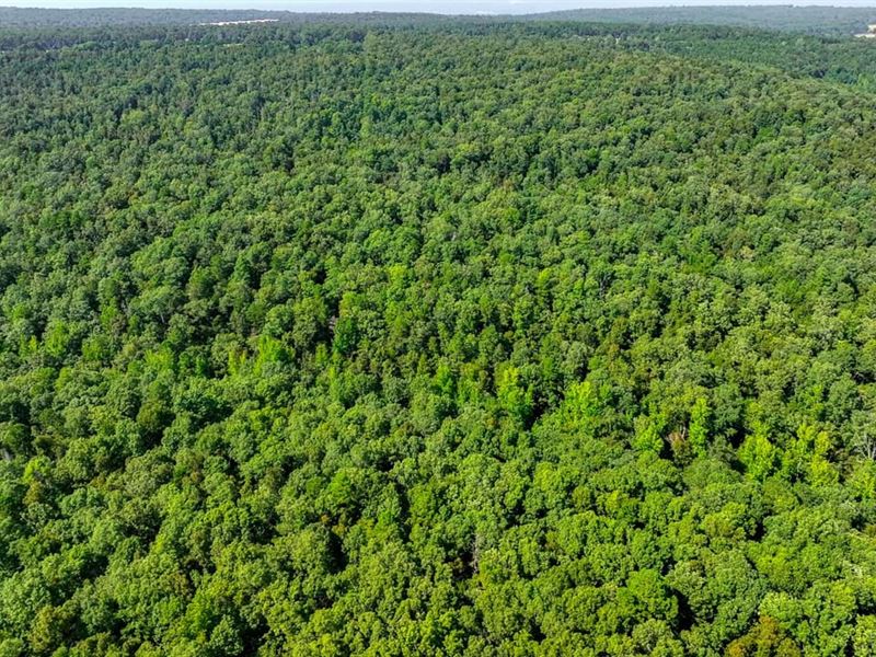 120 Acres, Hunting Land, Mature : Floral : Independence County : Arkansas
