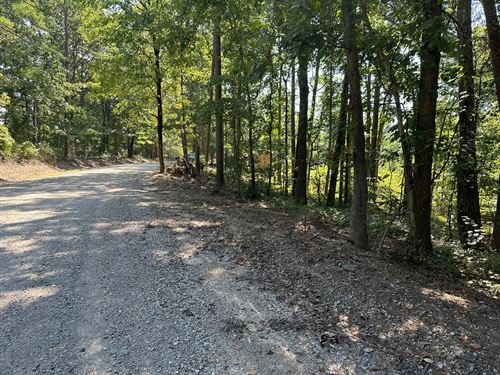 Wooded Land for Sale in Tennessee : Pocahontas : McNairy County : Tennessee