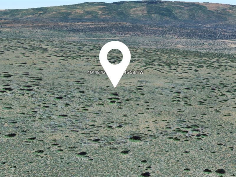 39.14 Acres in Susanville, CA, Farm for Sale by Owner in California