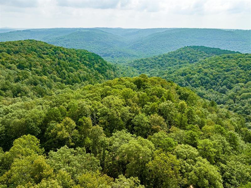 120 Acres on The South Fork : Jerusalem : Van Buren County : Arkansas