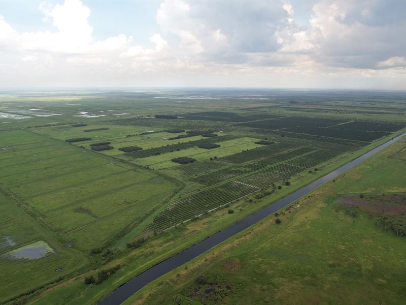 Marcia Grove and Ranch : Lake Placid : Highlands County : Florida