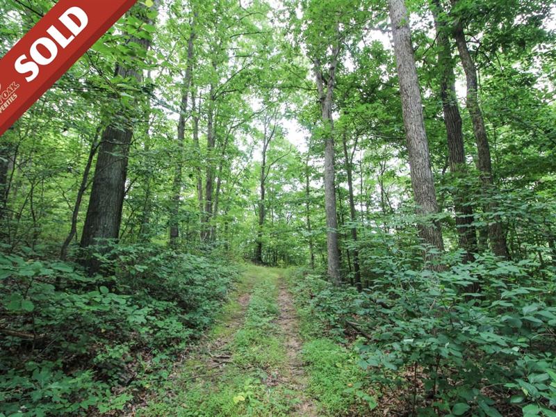 TR 263, 25 Acres, Jefferson Count : Bergholz : Jefferson County : Ohio