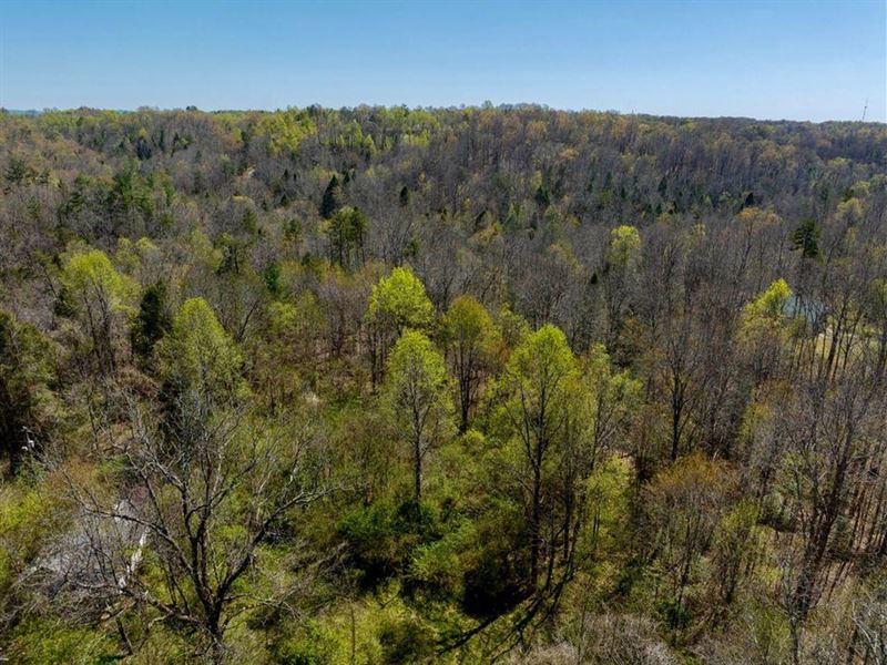 3.76 Acres McCreary County, KY : Whitley City : McCreary County : Kentucky
