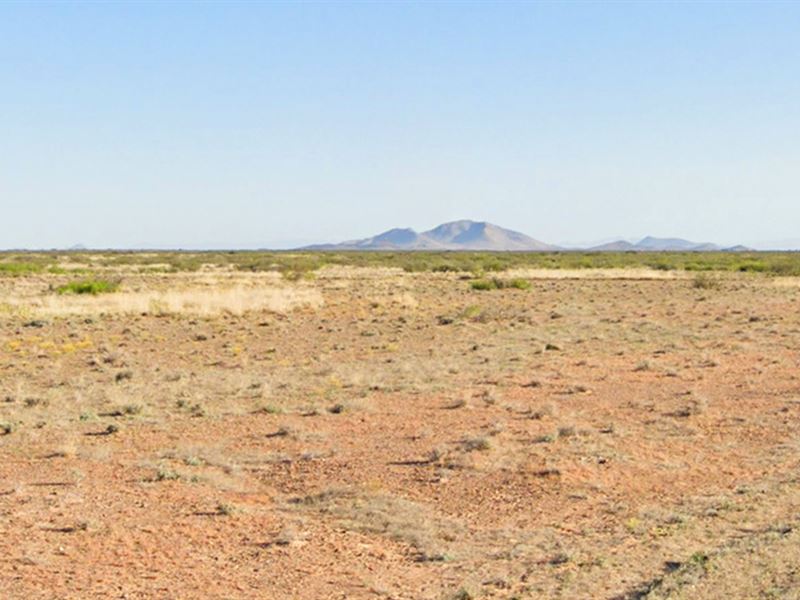 90-Day Same as Cash $19,999 Down/Mo : Deming : Luna County : New Mexico