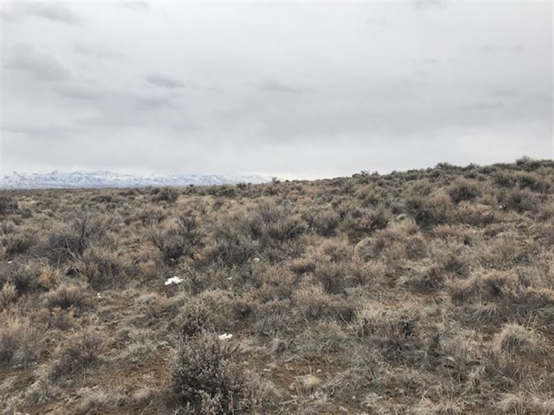 Peaceful Location Near Mountains : River Ranch : Elko County : Nevada