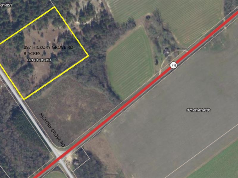 Perfect 8 Acres for Farm / Home : Bennettsville : Marlboro County : South Carolina