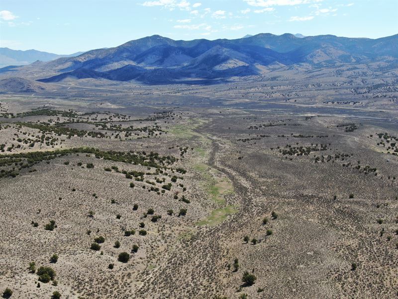 No Wifi, No Problem, Off Grid Haven : Montello : Elko County : Nevada