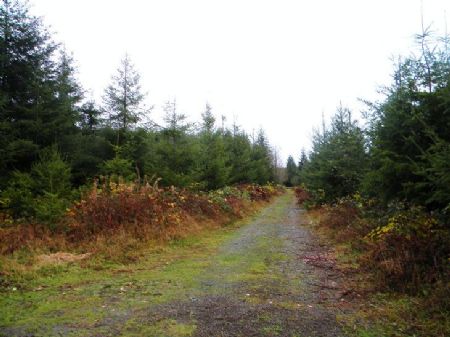Great Price On 44 Acres : Hoquiam : Grays Harbor County : Washington