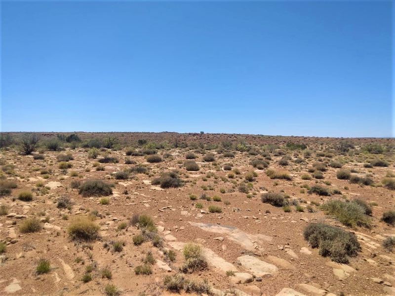 Prime Vacant Lot in Apache County : Sanders : Apache County : Arizona