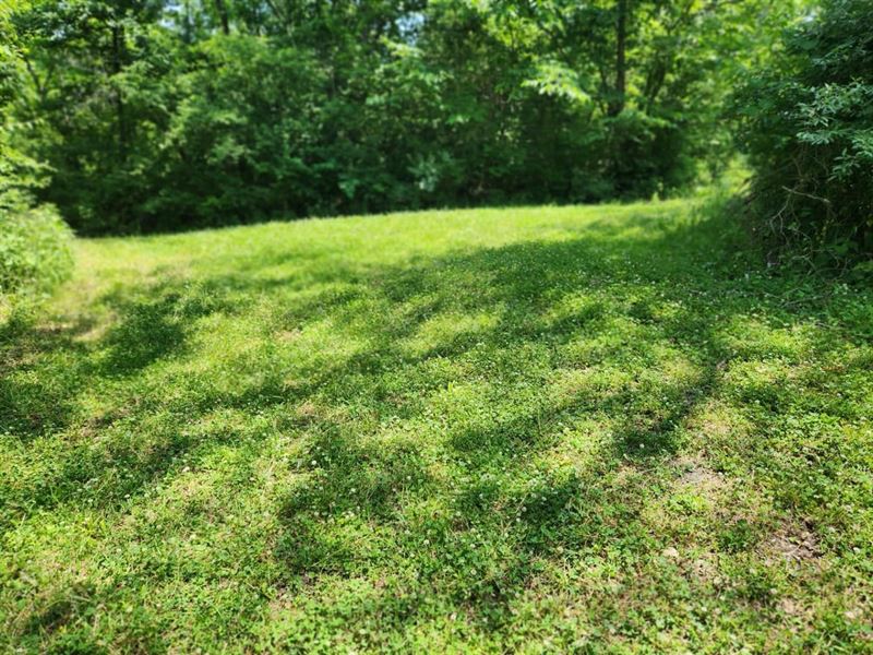 Hunting Camping & More : Carrollton : Carroll County : Kentucky