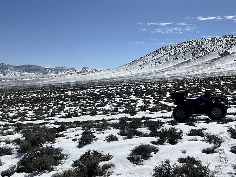 Escape The Rat Race : Montello : Elko County : Nevada