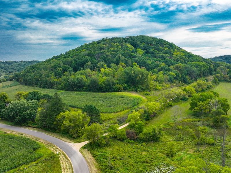 22 Acres Buffalo County, Farm for Sale in Wisconsin, 358346 FARMFLIP