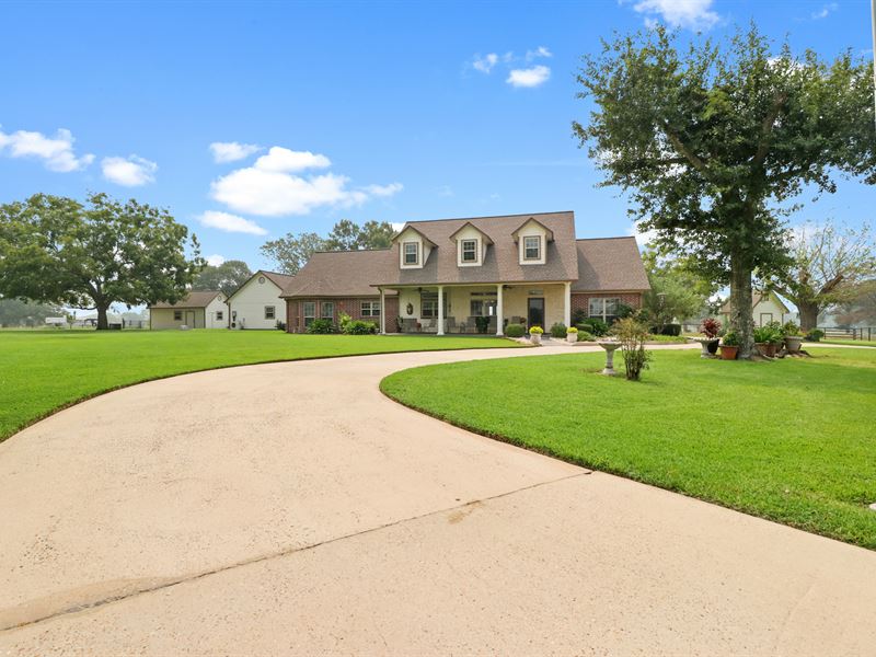 29 Acres, 10 Elmina Road : New Waverly : Walker County : Texas
