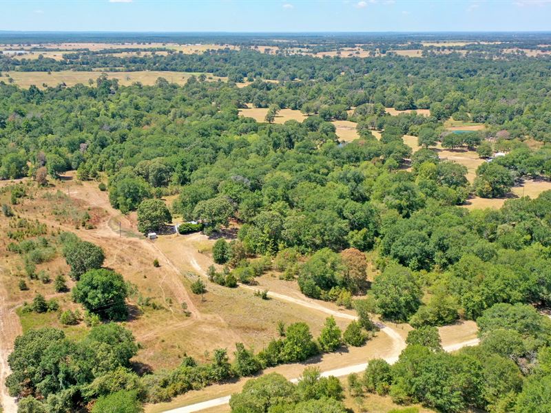 Acreage in Madison County : Midway : Madison County : Texas