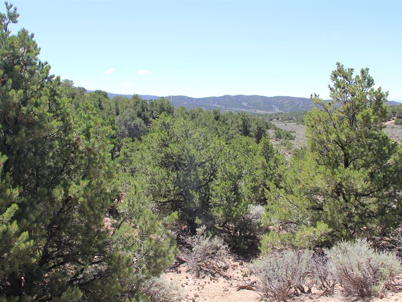 With Great Power Comes Convenience : San Luis : Costilla County : Colorado