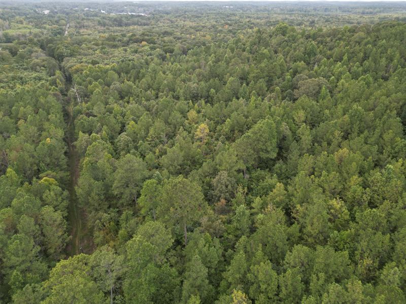 77 Acres Carrollton : Carrollton : Pickens County : Alabama