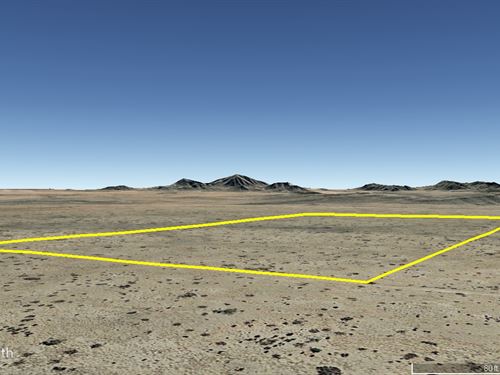 West Texas Hunting : Sierra Blanca : Hudspeth County : Texas